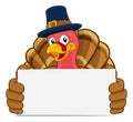 Turkey Pilgrim Hat Thanksgiving Cartoon Character Royalty Free Stock Photo