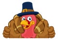 Turkey Pilgrim Hat Thanksgiving Cartoon Character Royalty Free Stock Photo