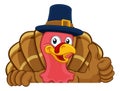 Turkey Pilgrim Hat Thanksgiving Cartoon Character Royalty Free Stock Photo