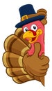 Turkey Pilgrim Hat Thanksgiving Cartoon Character Royalty Free Stock Photo