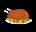 Turkey pixel art. Thanksgiving Day 8 bit. Vector illustration