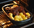 Turkey with potatoes baked in the oven Royalty Free Stock Photo