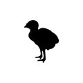 Turkey poult bird black silhouette animal.