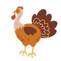 Turkey. Poultry. Cute cartoon turkey bird. Thanksgiving Day. Animals Character. Vector cartoon illustration isolated on the white