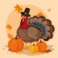 Turkey with pumpkins and hat pilgrim of thanksgiving day Royalty Free Stock Photo