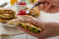 Turkey quesadillas Royalty Free Stock Photo