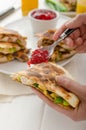 Turkey quesadillas Royalty Free Stock Photo