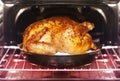 Turkey roasts in oven