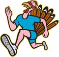 Turkey Run Runner Side Cartoon Isolated