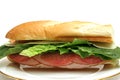 Turkey salami & ham sandwich whole Royalty Free Stock Photo