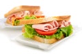 Turkey sandwich Royalty Free Stock Photo