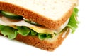 Turkey Sandwich Royalty Free Stock Photo