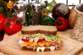 Turkey Sandwich Royalty Free Stock Photo