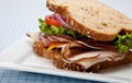 Turkey sandwich on whole grain bread Royalty Free Stock Photo