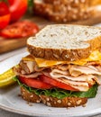 Turkey Sandwich on Whole Grain Bread Royalty Free Stock Photo