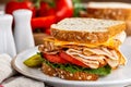 Turkey Sandwich on Whole Grain Bread Royalty Free Stock Photo