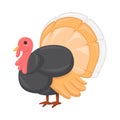 Turkey Sign Emoji Icon Illustration. Thanksgiving Vector Symbol Emoticon Design Clip Art Sign Comic Style.