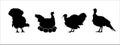 Turkey silhouettes vector set. Turkey incubate the eggs farm illustration