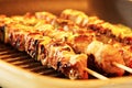 Turkey skewers on the grill close-up Royalty Free Stock Photo