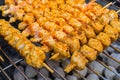 Turkey skewers grilling in the garden Royalty Free Stock Photo