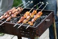 Turkey on skewers Royalty Free Stock Photo