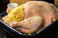 Turkey stuffed and ready to roast Royalty Free Stock Photo