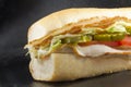 Turkey Sub Royalty Free Stock Photo