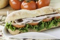 Turkey sub sandwich Royalty Free Stock Photo