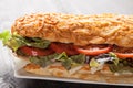 Turkey Sub Sandwich Royalty Free Stock Photo