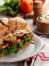 Turkey Submarine Sandwich on a Plate