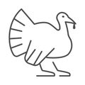 Turkey thin line icon, Farm animals concept, farm bird sign on white background, Turkey silhouette icon in outline style