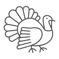 Turkey thin line icon, poultry concept, turkey cock bird vector sign on white background, outline style icon for mobile