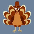 Turkey in a Traditional Pilgrim Hat, Isolated Vector graphics in cartoon style. Holiday Thanksgiving Day Flat Bird illustration Royalty Free Stock Photo