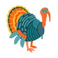 Turkey vector illustration