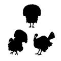 Turkey vector silhouettes