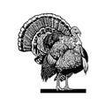 Turkey - Vintage engraved illustration - Hand drawn in a graphic style. Vintage vector engraving illustration for label