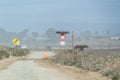 Turkey Vulture Buzzard Condor ready to take flight. Sitting on a Street Yield Sign. California Pacific Ocean