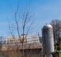 turkey vulture perched on farm silo