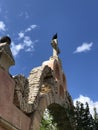 A turkey vulture rests atop an ancient cross in Mexico.