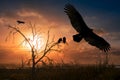 Turkey Vultures perch in a tree