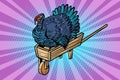 A turkey on a wooden farm wheelbarrow. Thanksgiving Day