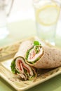 Turkey wrap Royalty Free Stock Photo