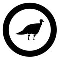 Turkeycock black icon in circle vector illustration Royalty Free Stock Photo