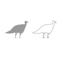 Turkeycock grey set icon . Royalty Free Stock Photo