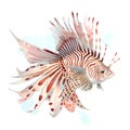 Turkeyfish in cartoon style. Cute Little Cartoon lionfish isolated on white background. Watercolor drawing, hand-drawn butterfly