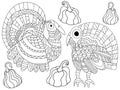 Two turkey birds and four pumpkins coloring page stock vector illustration