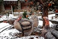 Turkeys forged from steel by skilled blacksmiths.