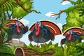 Turkeys in jungle scene