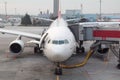 Turkish Airlines Airplanes boarding at Istanbul Ataturk Airport