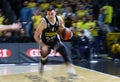 Turkish Airlines EuroLeague basketball game ALBA Berlin v Partizan